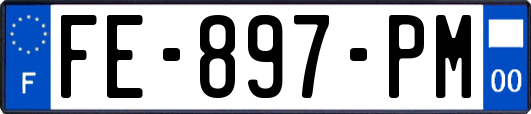 FE-897-PM