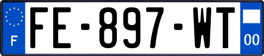FE-897-WT
