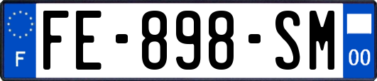 FE-898-SM