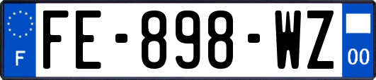 FE-898-WZ