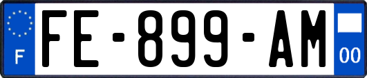 FE-899-AM