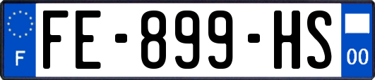 FE-899-HS