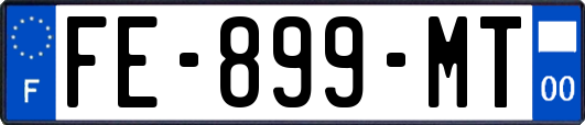 FE-899-MT