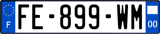 FE-899-WM