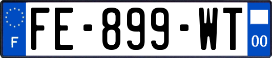 FE-899-WT