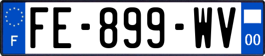 FE-899-WV