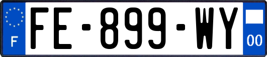 FE-899-WY