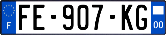 FE-907-KG