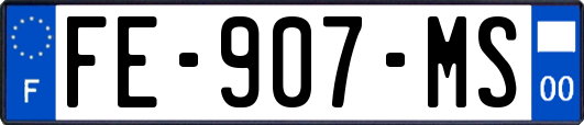 FE-907-MS