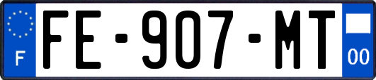 FE-907-MT