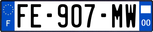 FE-907-MW