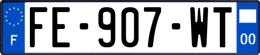 FE-907-WT