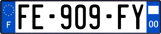 FE-909-FY
