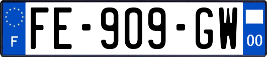 FE-909-GW