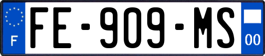 FE-909-MS