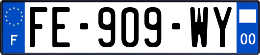 FE-909-WY