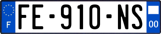 FE-910-NS