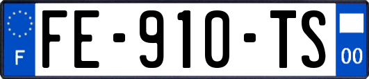 FE-910-TS