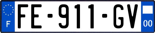 FE-911-GV