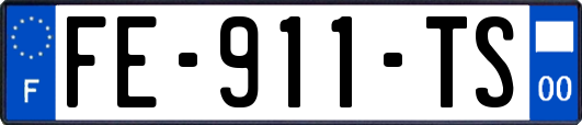 FE-911-TS