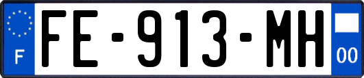 FE-913-MH