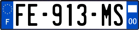 FE-913-MS