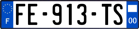 FE-913-TS