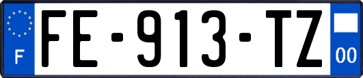 FE-913-TZ