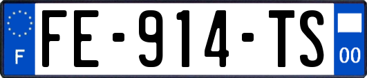 FE-914-TS