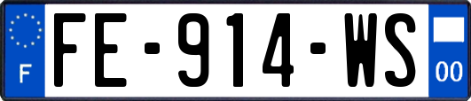 FE-914-WS