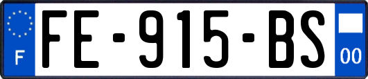 FE-915-BS