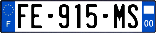 FE-915-MS