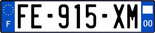 FE-915-XM