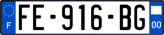 FE-916-BG