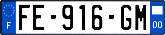 FE-916-GM