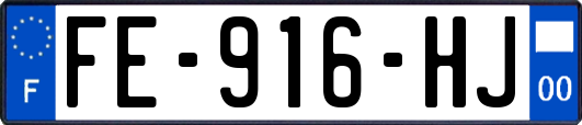 FE-916-HJ