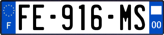 FE-916-MS