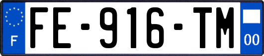 FE-916-TM