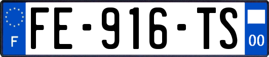 FE-916-TS