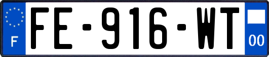 FE-916-WT