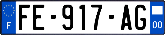 FE-917-AG