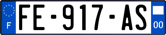 FE-917-AS