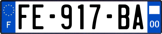 FE-917-BA