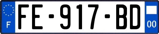 FE-917-BD