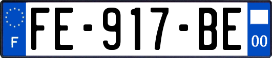FE-917-BE