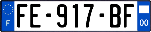 FE-917-BF