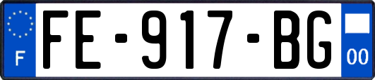 FE-917-BG