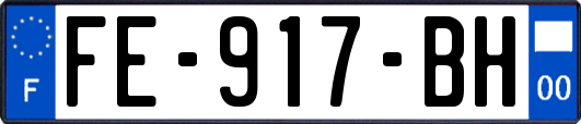 FE-917-BH