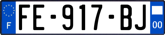 FE-917-BJ