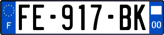 FE-917-BK